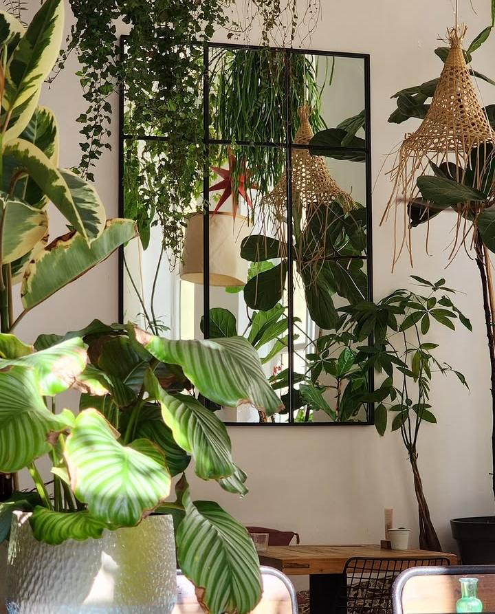 café full of plants